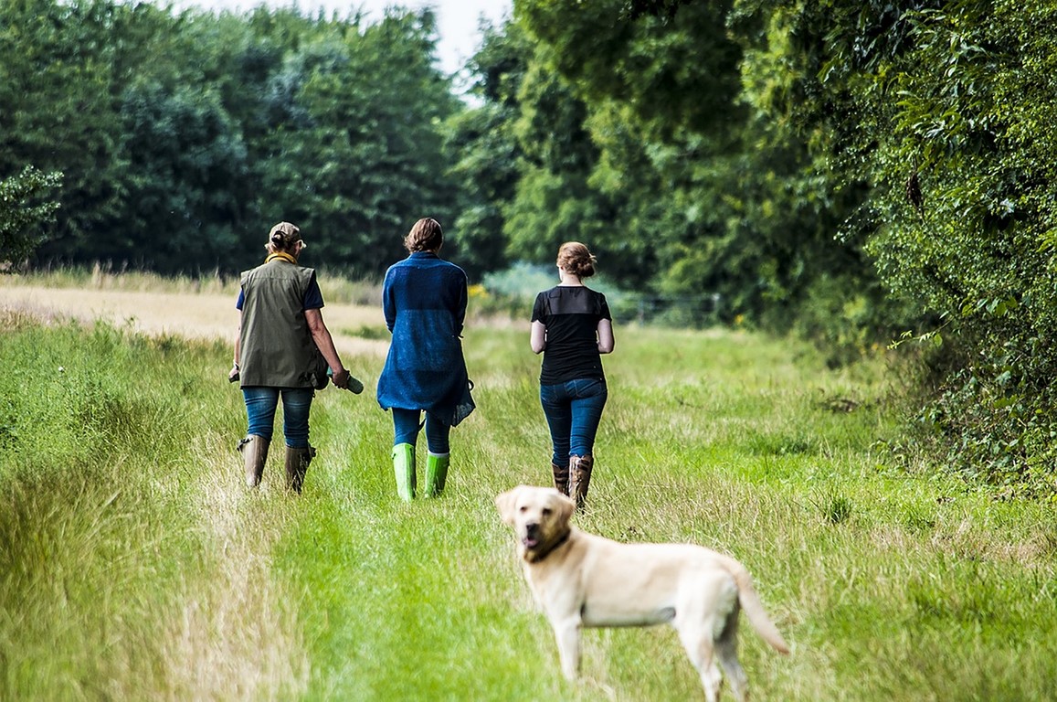 Urlaub mit Hund auf dem Ferienhof Verse ist ein perfekter Landurlaub im Sauerland