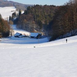 winterbild winterbild