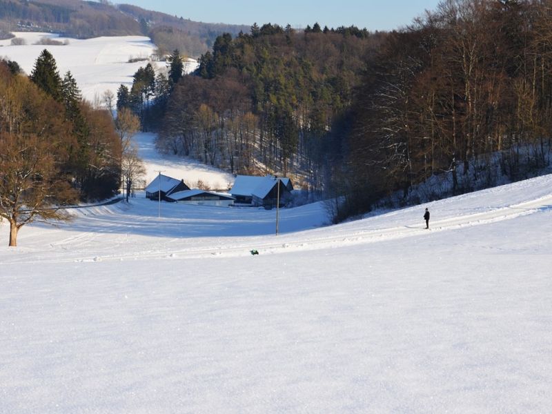 winterbild winterbild