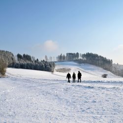 Wandern beim Winterurlaub in herrlicher Winterlandschaft vom Sauerland.