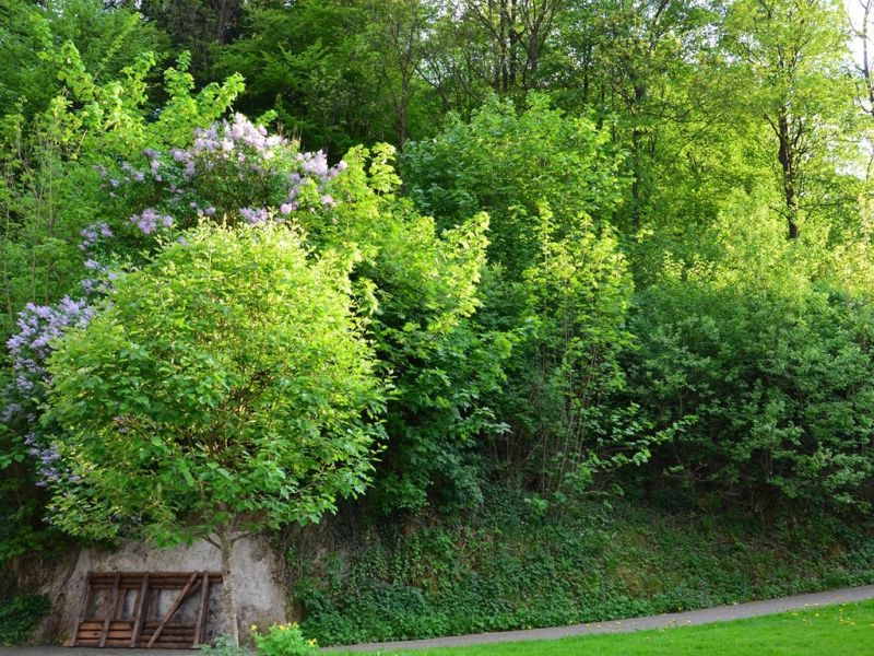 natur direkt vor der haustuer natur direkt vor der haustuer
