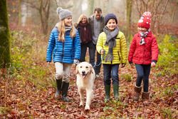 familienwanderung beim urlaub mit hund im sauerland auf dem ferienhof verse familienwanderung beim urlaub mit hund im sauerland auf dem ferienhof verse