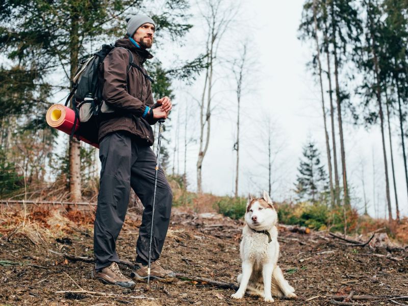 sauerland wandern im urlaub mit hund sauerland wandern im urlaub mit hund