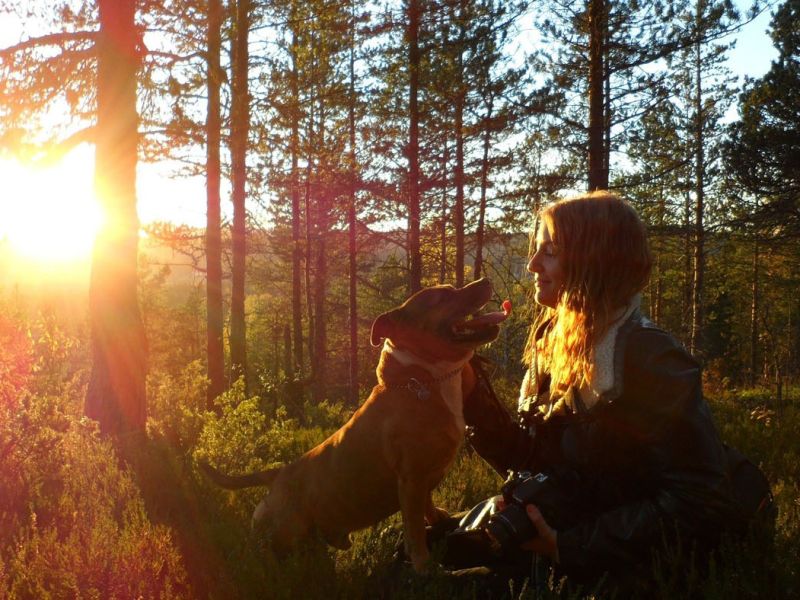 sonnenuntergang beim wandern mit hund im sauerland sonnenuntergang beim wandern mit hund im sauerland