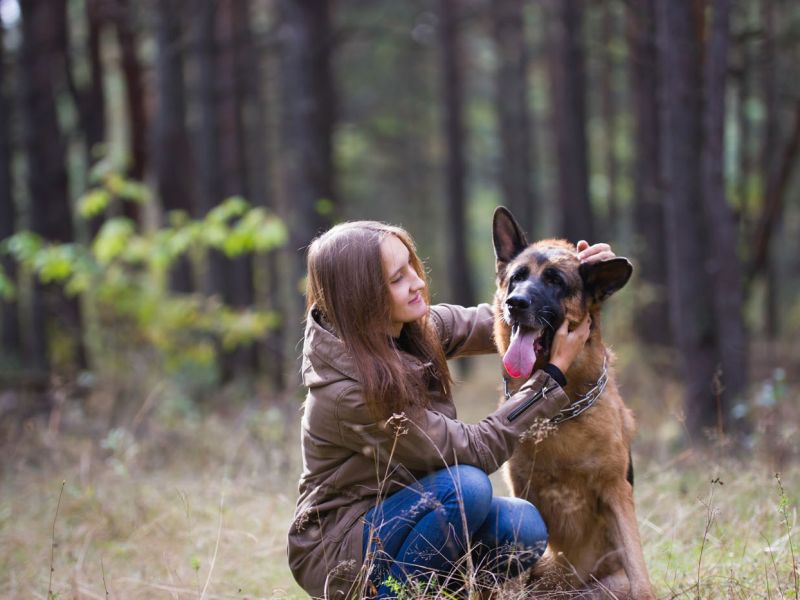 wandern im urlaub mit hund auf dem hof verse im sauerland wandern im urlaub mit hund auf dem hof verse im sauerland
