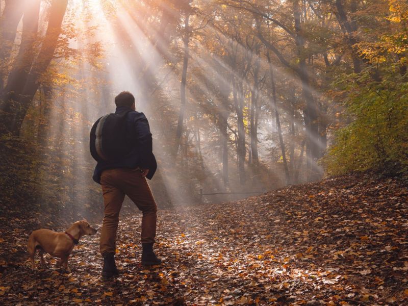 wandern mit hund beim urlaub mit hund im sauerland wandern mit hund beim urlaub mit hund im sauerland