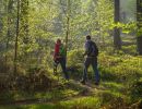 Wanderurlaub im Sauerland auf dem Ferienhof Verse im idyllischen Melbecketal